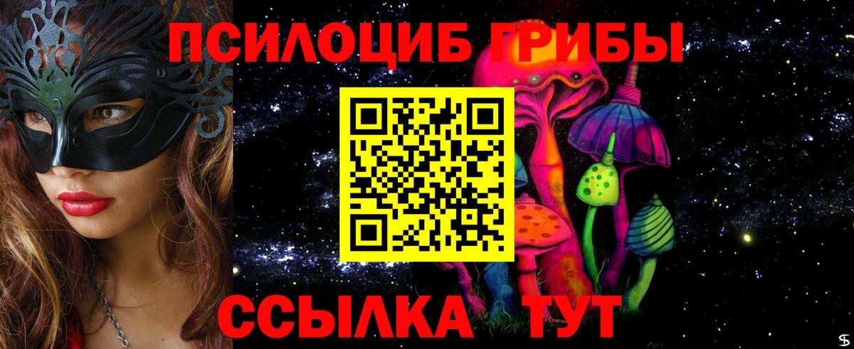 Кстово  Псилоцибиновые грибы Psilocybe  Вход с VPN 